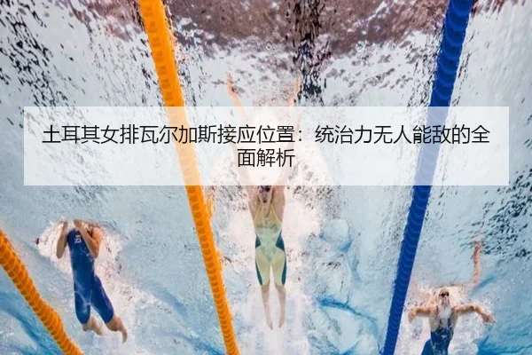 tu-er-qi-nv-pai-wa-er-jia-si-jie-ying-wei-zhi-tong-zhi-li-wu-ren-neng-di-de-quan-mian-jie-xi-2-521.jpg