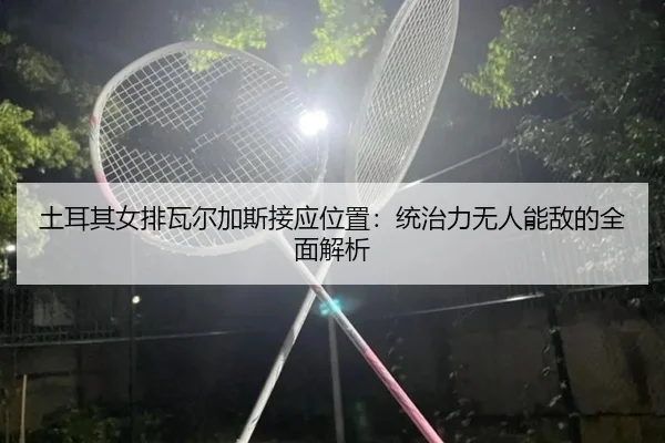 tu-er-qi-nv-pai-wa-er-jia-si-jie-ying-wei-zhi-tong-zhi-li-wu-ren-neng-di-de-quan-mian-jie-xi-3-963.jpg