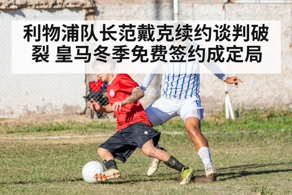 利物浦队长范戴克续约谈判破裂 皇马冬季免费签约成定局